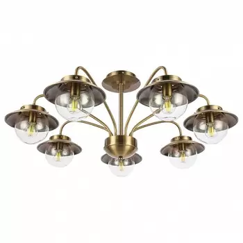 Потолочная люстра EVOLUCE Garonni SLE110102-07