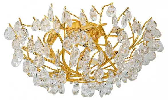 Потолочная люстра Favourite Pluvia 4162-8C