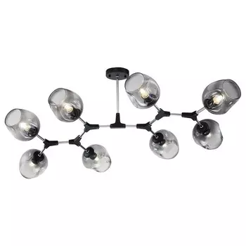 Потолочная люстра Freya Desi FR5006CL-08B