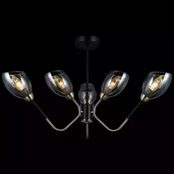 Потолочная люстра Illumico IL9960-6CSQ-79 BK AB