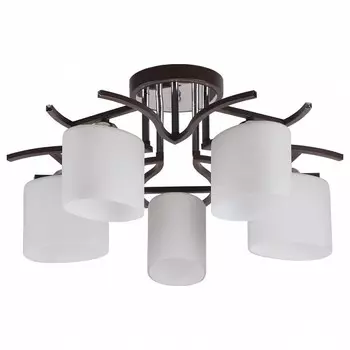 Потолочная люстра Imex 2441 MD.2441-5-S BR+CH