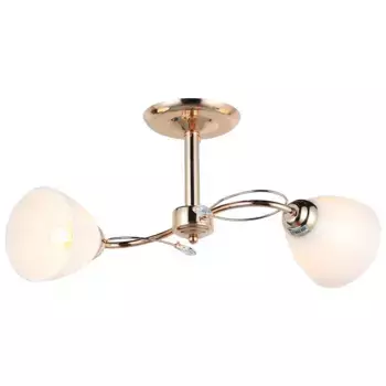 Потолочная люстра IMEX MD.0017-2-S-FGD