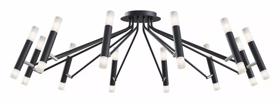 Потолочная люстра Maytoni Vigo MOD620CL-24B