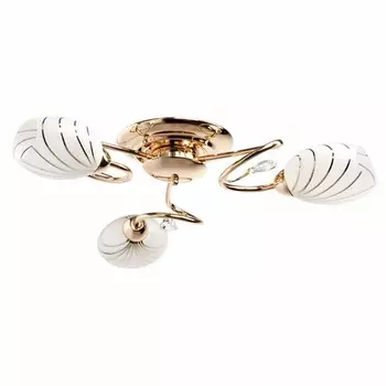 Потолочная люстра MW-Light Фиеста 267012803