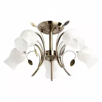 Потолочная люстра MW-Light Флора 256018205