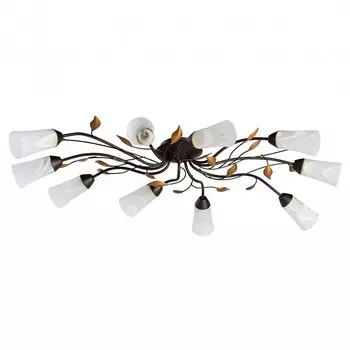 Потолочная люстра MW-Light Восторг 242015410