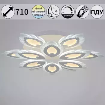 Потолочная люстра Reluce 05133-0.3-6+6 White