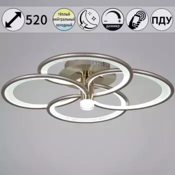 Потолочная люстра Reluce 09246-0.3-4S Champaign silver