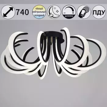 Потолочная люстра Reluce 74390-0.3-6+6 black