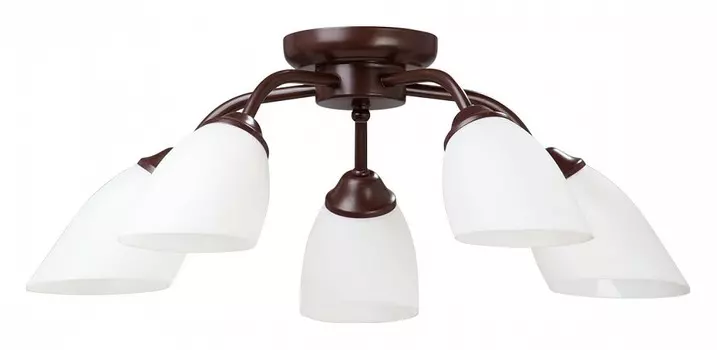 Потолочная люстра Vitaluce V3184 V3252/5PL