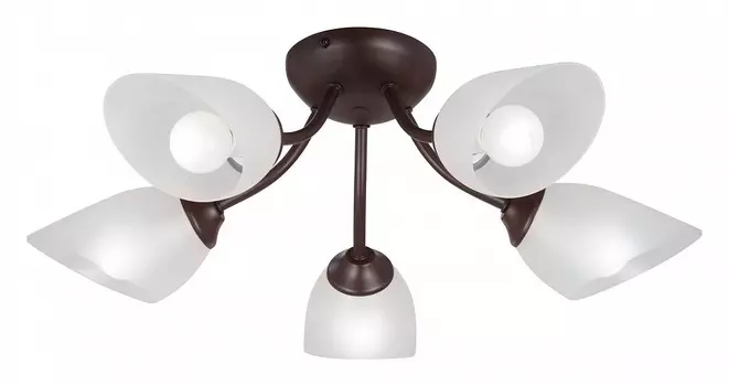 Потолочная люстра Vitaluce V3184 V3404/5PL