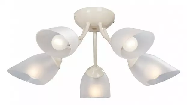 Потолочная люстра Vitaluce V3405/5PL