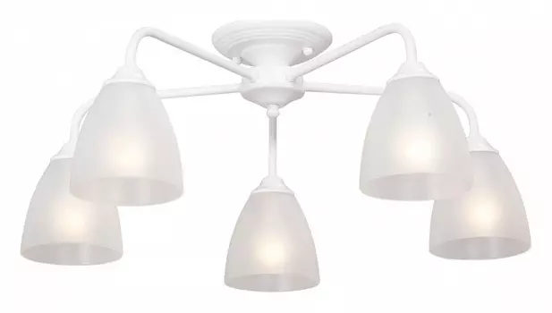 Потолочная люстра Vitaluce V3946-0/5PL