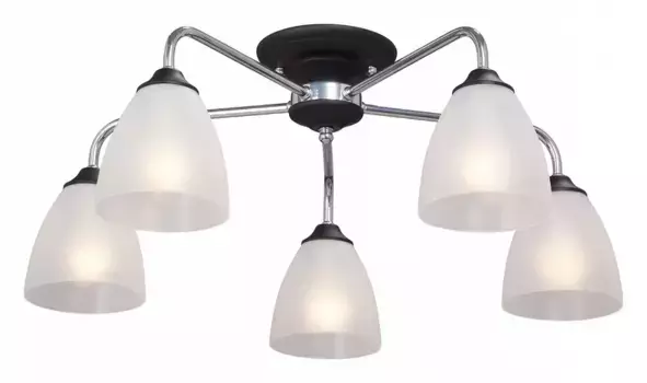 Потолочная люстра Vitaluce V3946-1/5PL