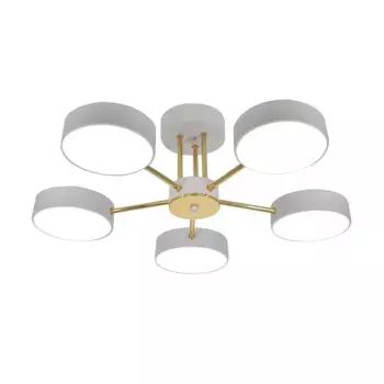 Потолочная светодиодная люстра Escada Rune 10262/5LED