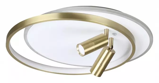 Потолочная светодиодная люстра Lumion Naoko 5603/63CL