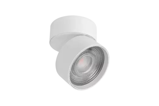 Потолочный cветильник Lumker Rink R-SSF-WH-WW 014416