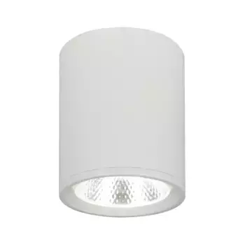 Потолочный светильник 20003 20003SMU/02LED SWH