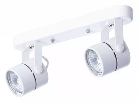 Потолочный светильник Arte Lamp A1311PL-2WH