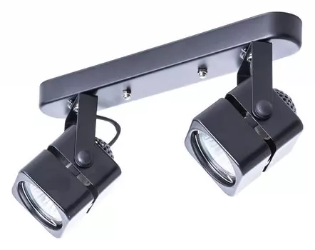 Потолочный светильник Arte Lamp A1315PL-2BK