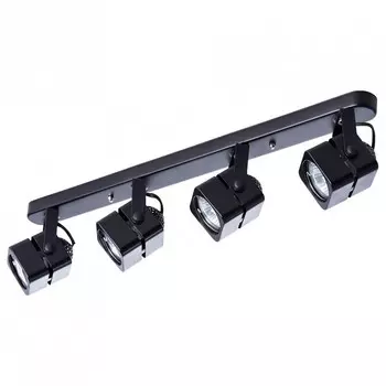 Потолочный светильник Arte Lamp A1315PL-4BK