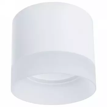 Потолочный светильник Arte Lamp Castor A5554PL-1WH