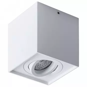 Потолочный светильник Arte Lamp Factor A5544PL-1WH