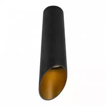 Потолочный светильник Arte Lamp Pilon-Gold A1535PL-1BK