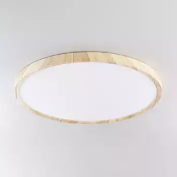 Потолочный светильник Citilux Бейсик CL738322V