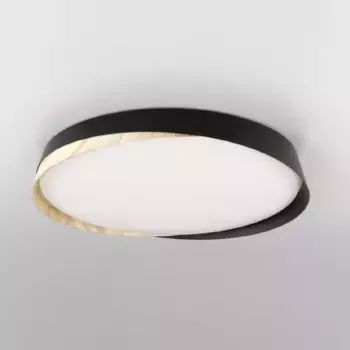 Потолочный светильник Citilux Bonny CL754451G