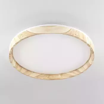 Потолочный светильник Citilux Enzo CL753452G