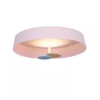 Потолочный светильник DeLight Collection MX19001031-1A pink