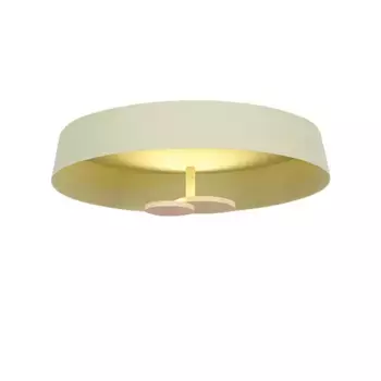 Потолочный светильник DeLight Collection MX19001031-1A yellow