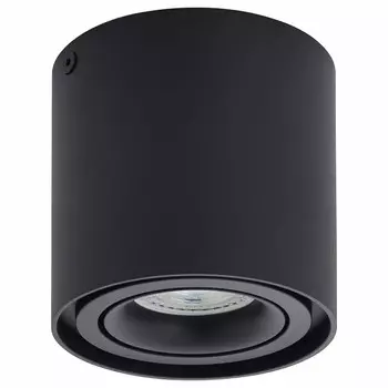 Потолочный светильник Denkirs DK2001-BK