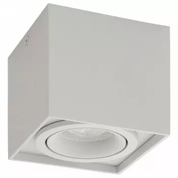 Потолочный светильник Denkirs DK2003-WH