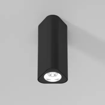 Потолочный светильник Elektrostandard 25110/LED a067064