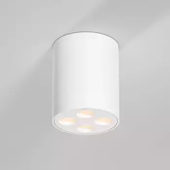 Потолочный светильник Elektrostandard 25111/LED a067482