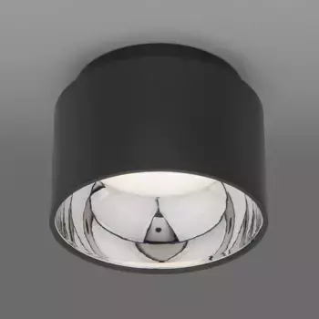 Потолочный светильник Elektrostandard Charlie 1069 GX53 GR графит a053057