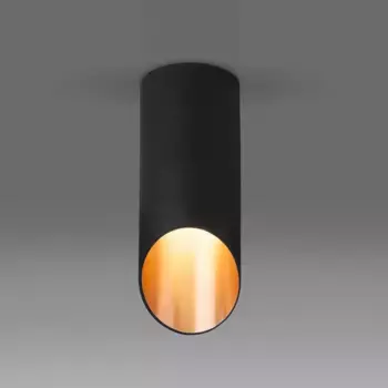 Потолочный светильник Elektrostandard DLN114 GU10 черный/золото a050120