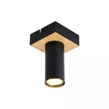 Потолочный светильник F-Promo Olson 4431-1C