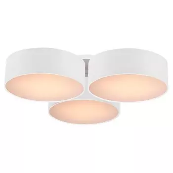 Потолочный светильник Favourite Cerchi 1515-6C