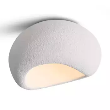 Потолочный светильник Freya Mound FR5428CL-01W