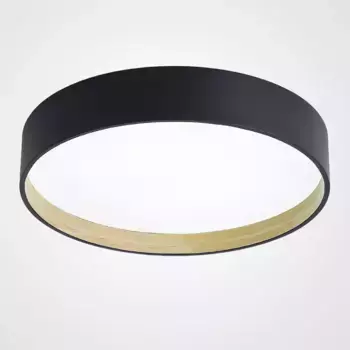 Потолочный светильник ImperiumLoft Netty 224021-23