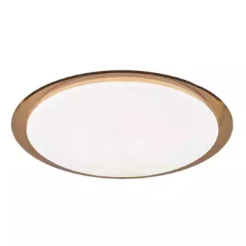 Потолочный светильник ЭРА SPB-6-70-RC "Saturn" (B) Б0036368