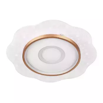 Потолочный светильник LED4U L1028-500 WH-GD