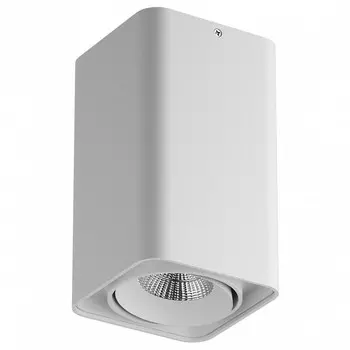 Потолочный светильник Lightstar Monocco 212536