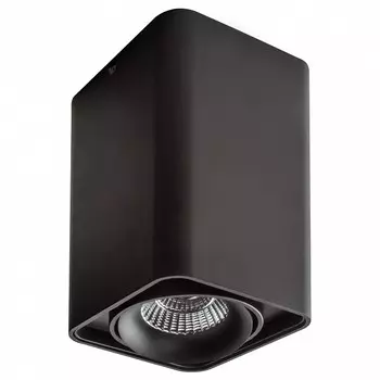 Потолочный светильник Lightstar Monocco 212537