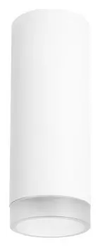 Потолочный светильник Lightstar Rullo (214486+202430) R48630