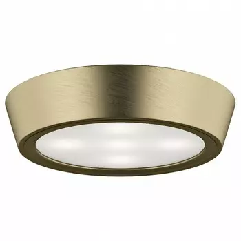 Потолочный светильник Lightstar Urbano Mini LED 214714