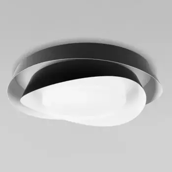 Потолочный светильник Loft IT Petale 10256 Black